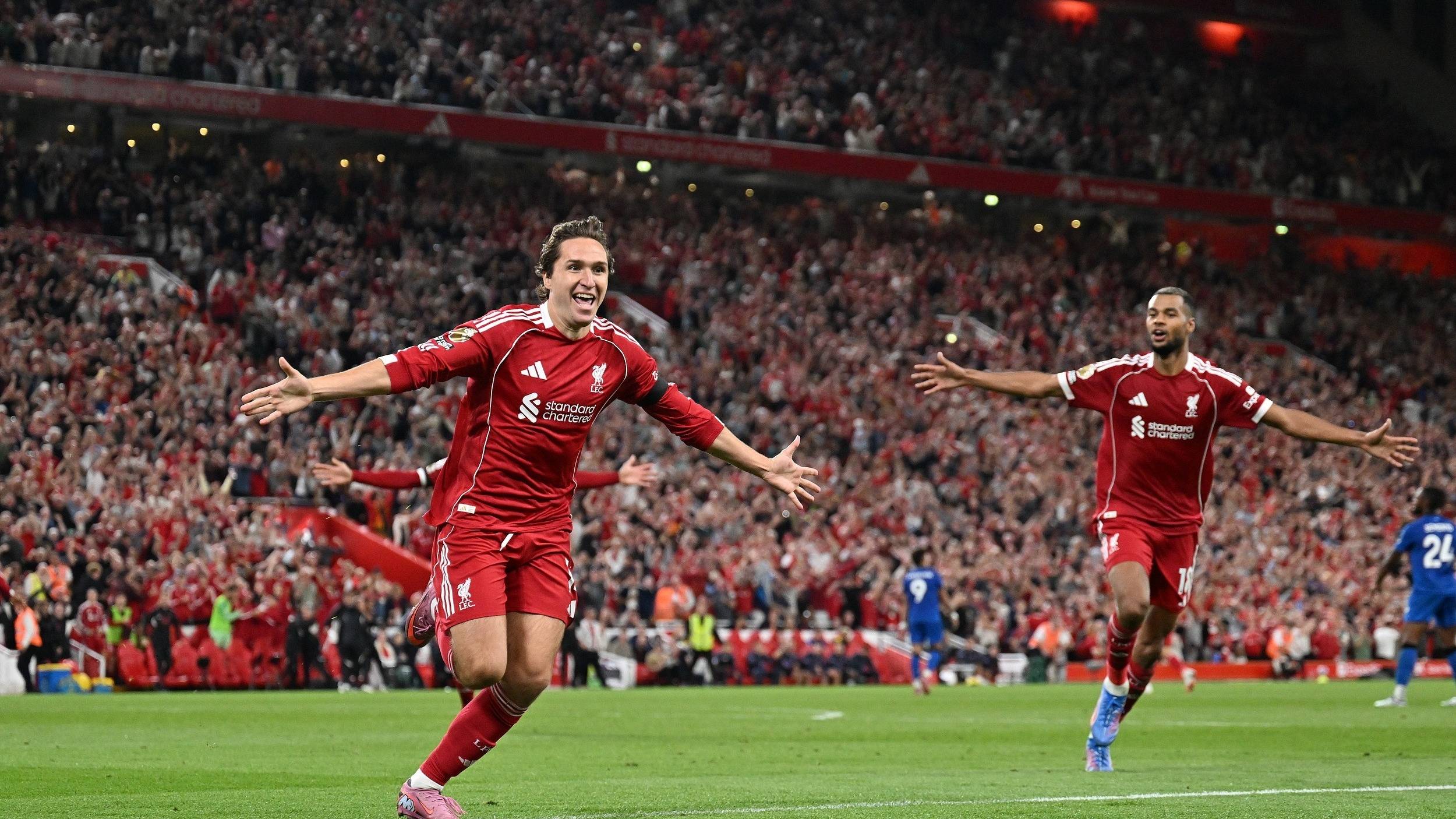 洞察力和篮 洞察力和篮