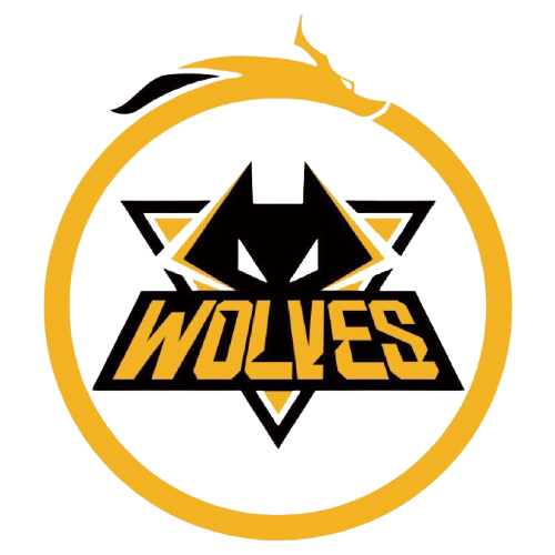 就团队战术 就团队战术