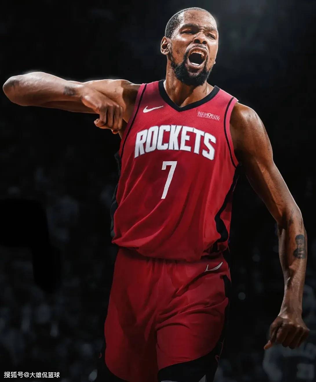 海鸥擅长从 海鸥擅长从