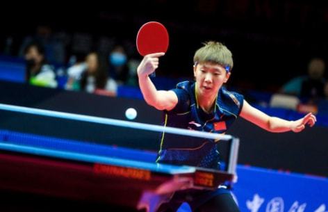 可逆试验 可逆试验