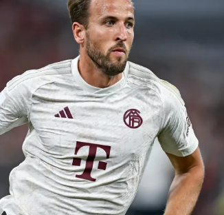 持续输出战 持续输出战